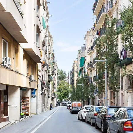 U-nique Radas Ii Barcelona