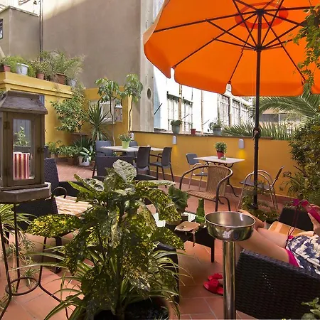 Apartment Casa Consell