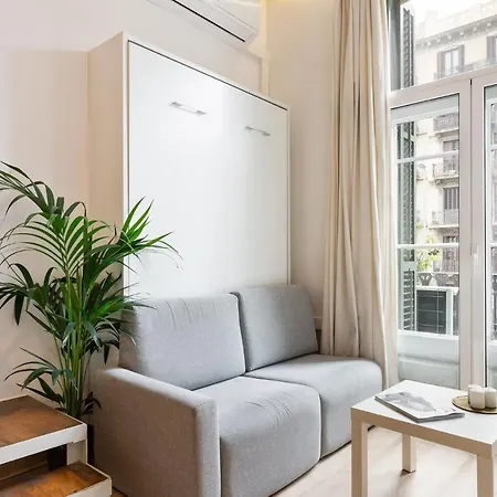 Cozy Bright Apartment