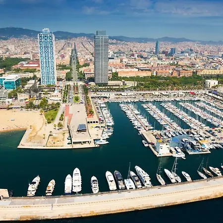 Swan Barcelona