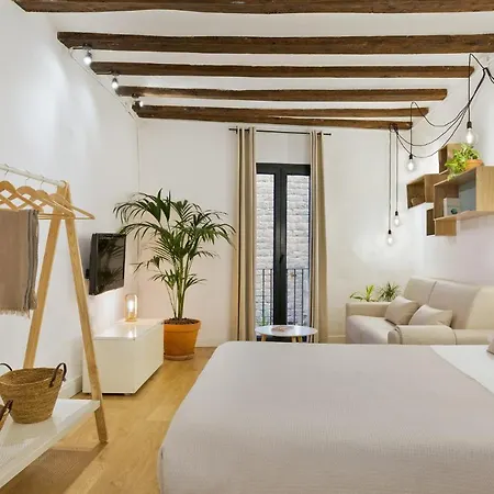 Apartment Ola Living Born