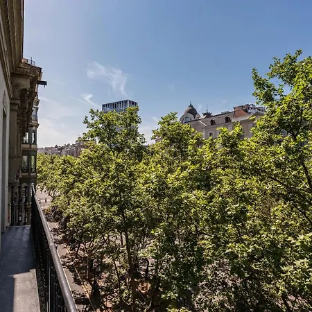 Sweett - Palau * Barcelona