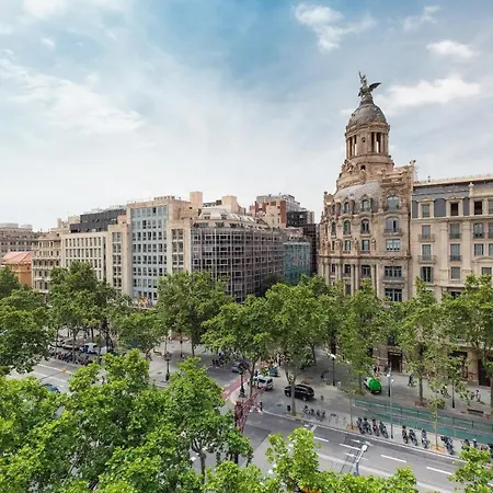 Oliva * Barcelona