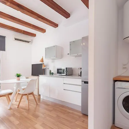 Apartment Spacious Doubleroom Apartment At Sants Barcelona