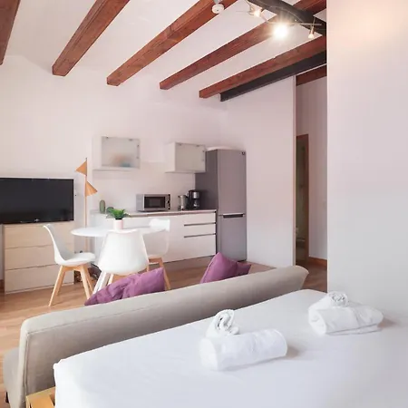 Spacious Doubleroom Apartment At Sants Apartment Barcelona
