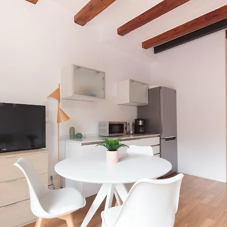 Apartment Spacious Doubleroom Apartment At Sants *