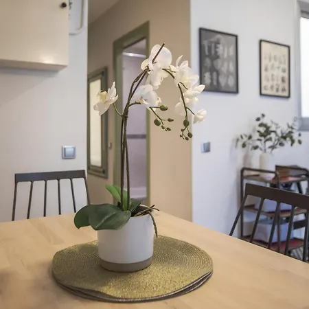 31ent1027 - Mediterranean Decorated Apartamento Barcelona