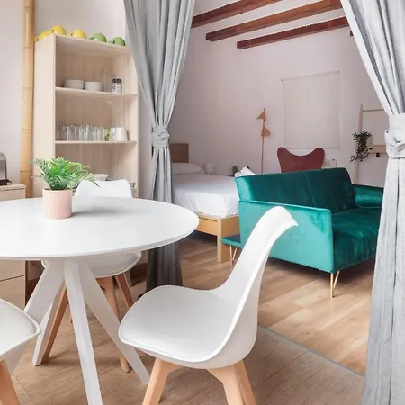 Apartment Spacious Doubleroom Apartment At Sants