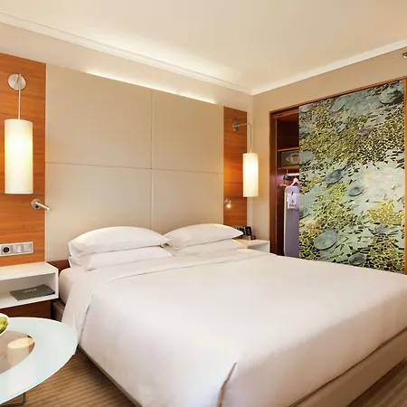 Hilton 4*