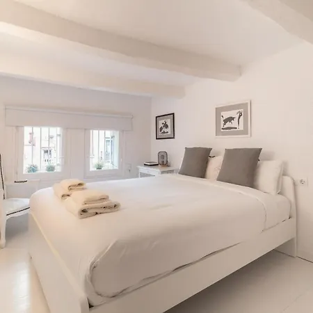 Precioso Apartamento En Mercat Sant Antoni Barcelona