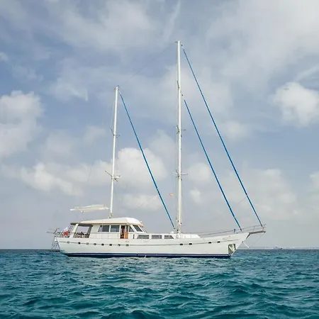 Spacious Yacht Center 5 *