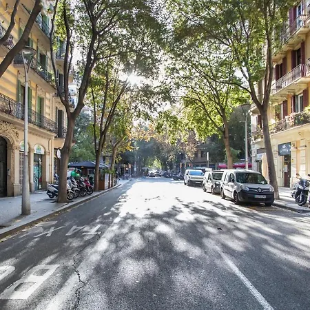 51flo1024 -well Located In Sant Antoni Apartment