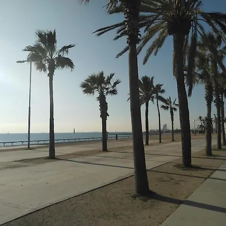 Apartment New! Amazing 2 Bedroom In Rambla Del Poblenou *