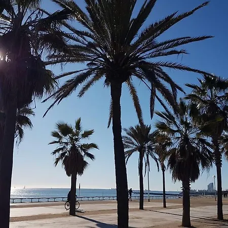 Apartment New! Amazing 2 Bedroom In Rambla Del Poblenou