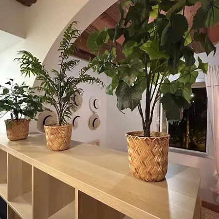 Hgc Apartman Barcelona