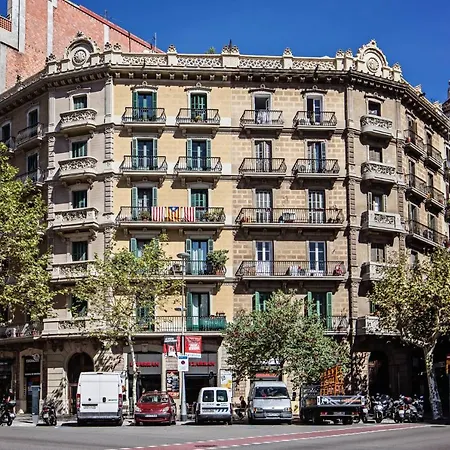 Sweett - Urgell *