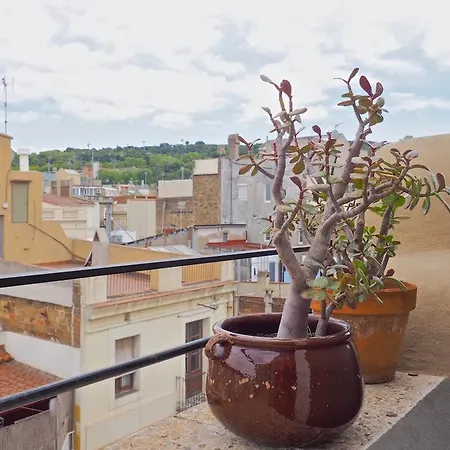 Radas Barcelona
