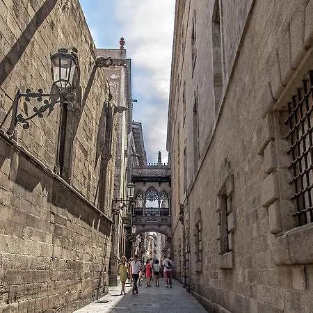Habitat Ferran Barcelona
