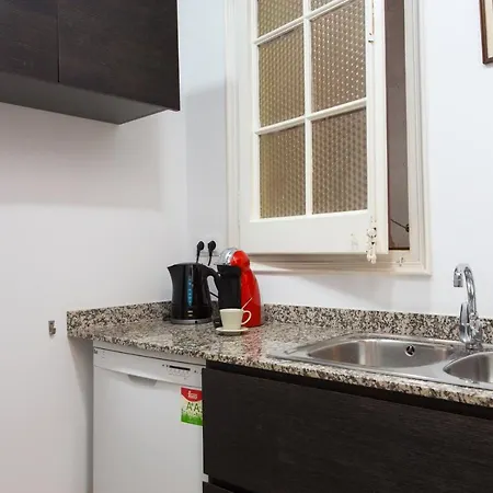 Cal Mateu Para 11 Huespedes Sagrada Familia Apartment *