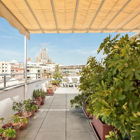 Aranea Hotel 3*