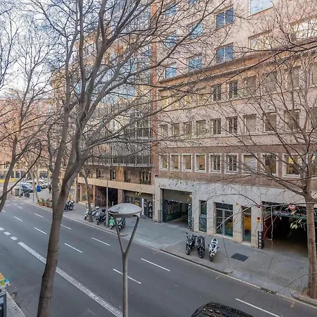 Modern And Bright In Eixample 1-3 Apartment *