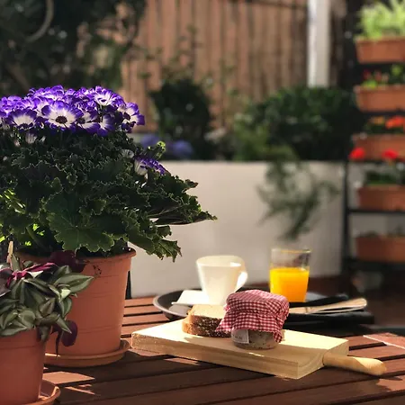 Apartament Eixample Modernista *