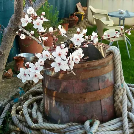 Cosy In L'arbocar With Private Pool, 65 Sqm בקתה *