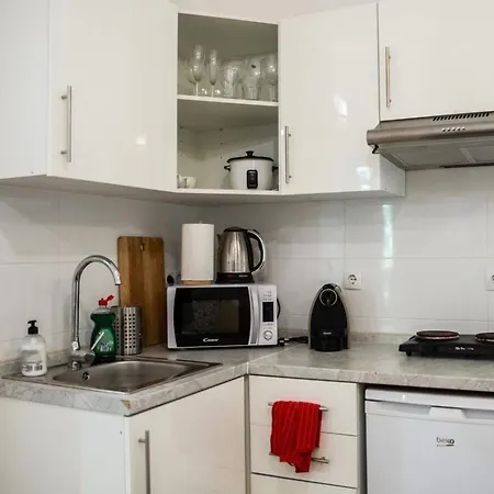 Eixample Modernista Apartament *