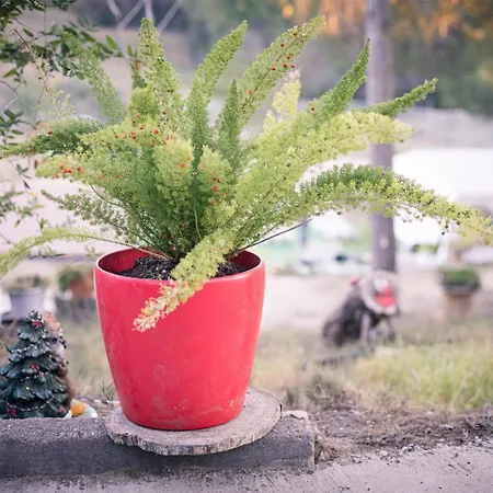 Apartamento Chetrus Casa En Plena Naturaleza