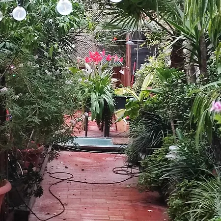 Jardin Secreto En El Centro De 2 Campo de lujo Barcelona