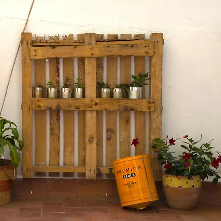 Casa Tortilla Sant Antoni