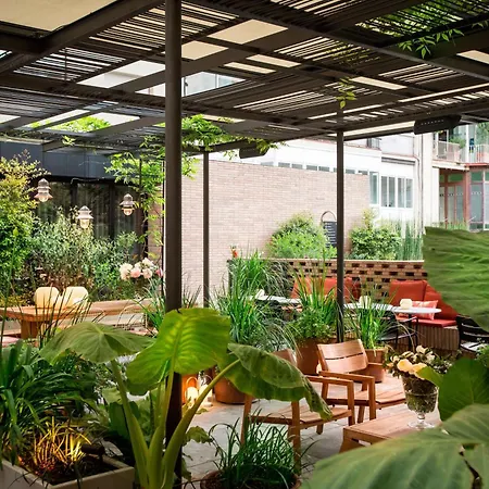 Hotel Alexandra Hotel, Curio Collection By Hilton