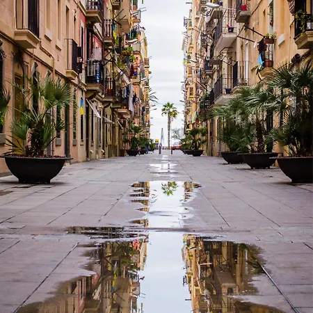 Toc Ramblas * Барселона