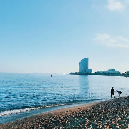 호텔 큐리우스 바르셀로나