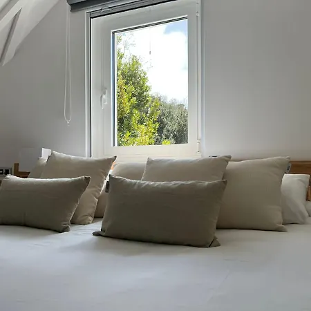 Aya House