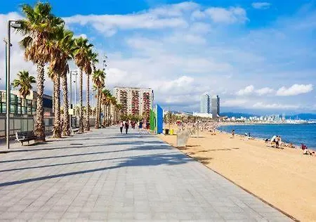 Bed & Breakfast Bcn Gotico Barcellona