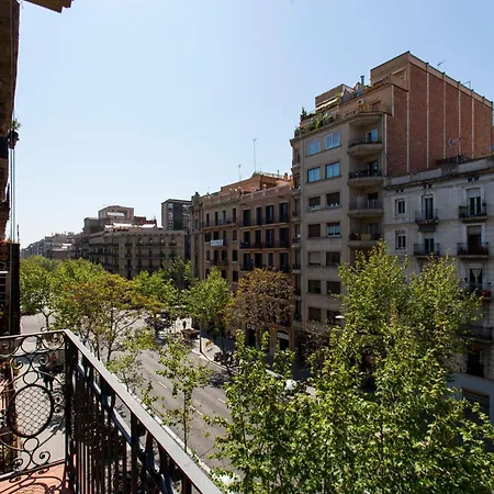 Ab Comte D'urgell - 2513 Barcelona