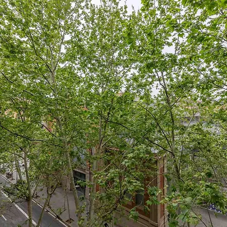 My Space - Spacious And Modern Near The Hospital Clinic * Barcelona