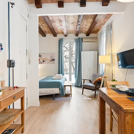 Appartement P1 *
