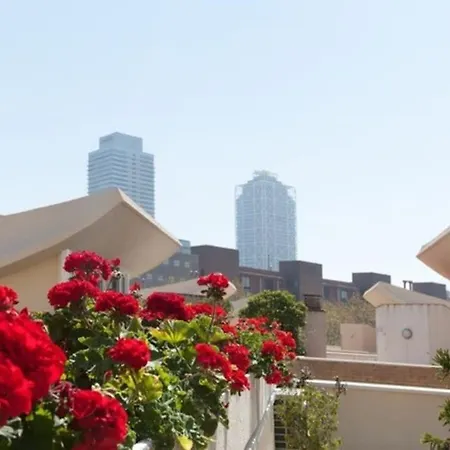 Canela Homes Olympic * Barcelona