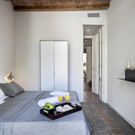Aspasios Charming Flats Apartment Barcelona