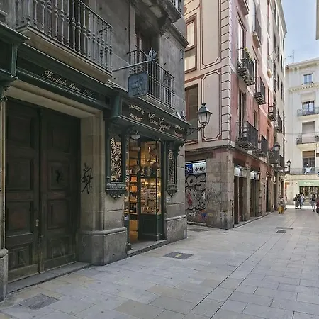 Alcam Sombrerers Apartment Barcelona