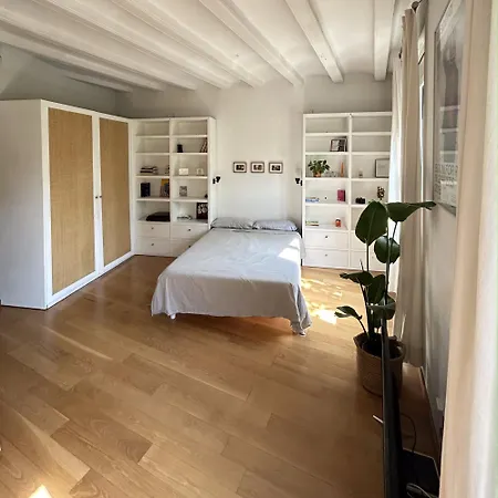 Loft Esquerra Eixample Lägenhet *