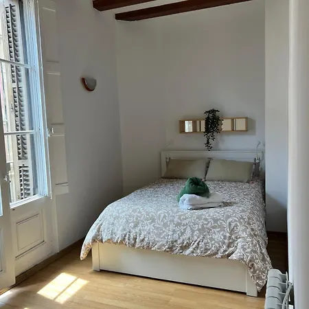 Habitacion Privada En Apartamento Compartido Hostel Barcelona