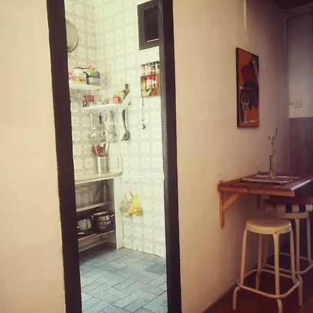 캠프장 Alohpepa *