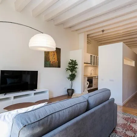Luxurious With Awesome Rooftop Apartment Barcelona