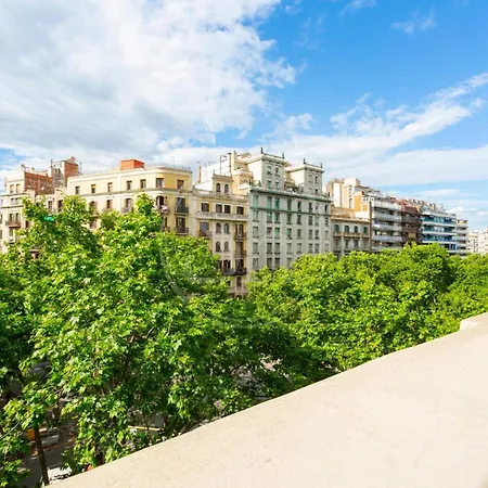 Apartment Centrico 4