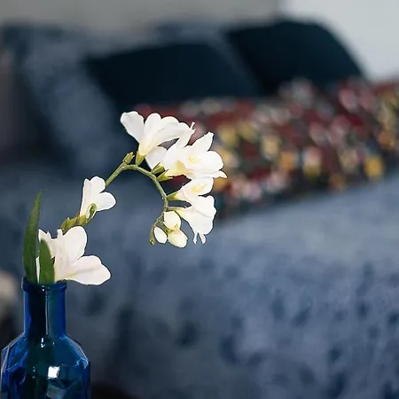Private In Heart Of Barcellona