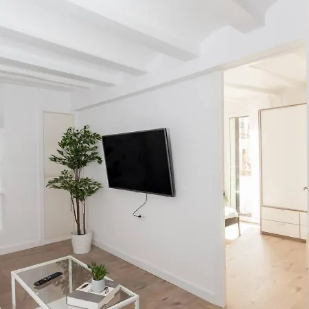 Apartment Ramblas Bcn 02