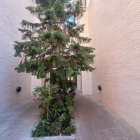 Piso Centro Duplex Y Con Gran Terraza Apartment *